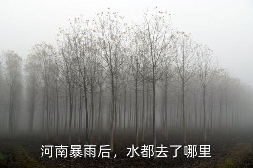 新鄉暴雨后水流到哪里,新鄉的雨水流向哪里