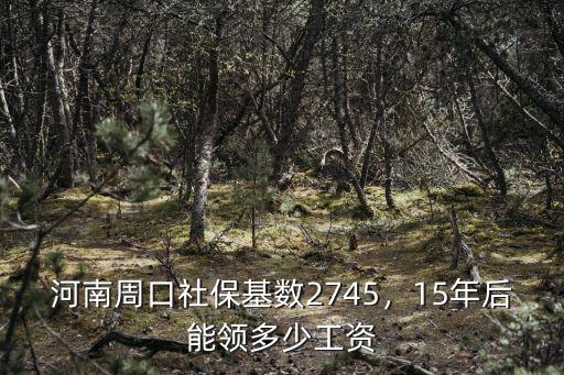 河南交夠15年社保 拿多少,河南周口社保基數(shù)2745