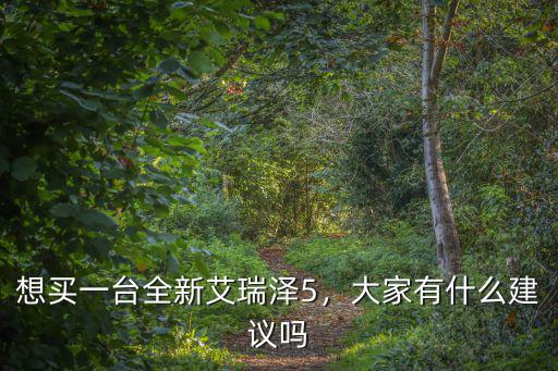 想買一臺全新艾瑞澤5，大家有什么建議嗎