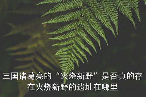 河南南陽新野縣在哪里,火燒新野的遺址在哪里