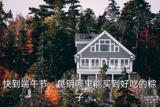 安陽哪里有賣手工粽子的,手工粽子怎么賣出去