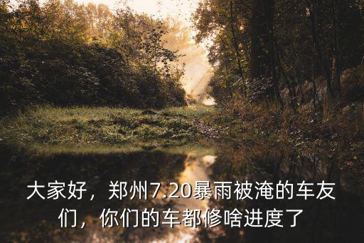 大家好，鄭州7.20暴雨被淹的車友們，你們的車都修啥進度了