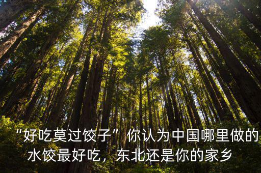 “好吃莫過餃子”你認為中國哪里做的水餃最好吃，東北還是你的家鄉