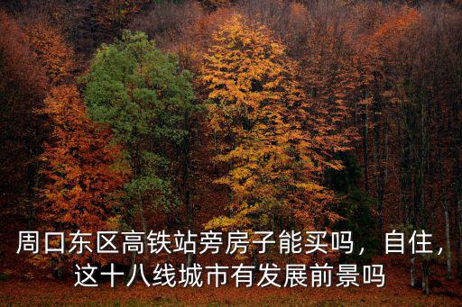 周口東區(qū)高鐵站旁房子能買嗎，自住，這十八線城市有發(fā)展前景嗎