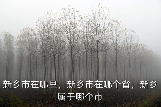 新鄉市東區堅果店在哪里,新鄉市在哪里