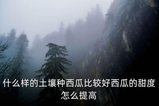 濮陽哪里種的西瓜多,什么樣的土壤種西瓜比較好