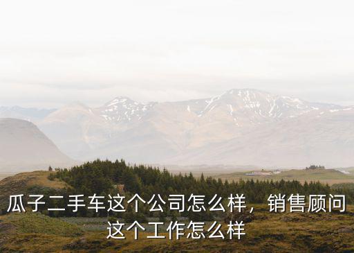 瓜子二手車這個公司怎么樣，銷售顧問這個工作怎么樣
