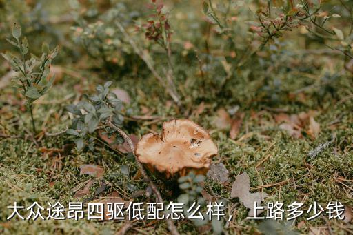 大眾途昂四驅(qū)低配怎么樣，上路多少錢