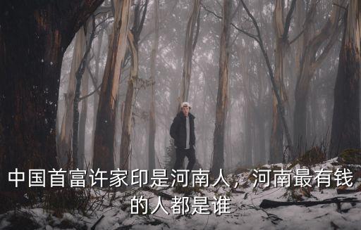 中國首富許家印是河南人，河南最有錢的人都是誰