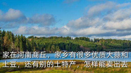 家在河南商丘，家鄉有很多優質大蒜和土豆，還有別的土特產，怎樣能賣出去