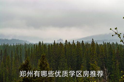 鄭州有哪些優(yōu)質學區(qū)房推薦