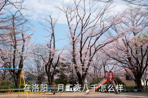 在洛陽，月工資八千怎么樣