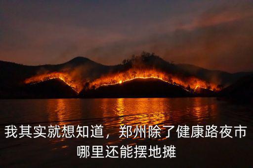 我其實就想知道，鄭州除了健康路夜市哪里還能擺地攤