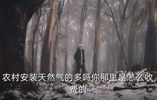 農(nóng)村安裝天然氣的多嗎你那里是怎么收費的