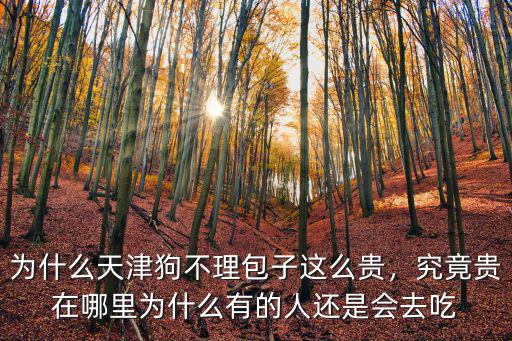 焦作狗不理包子在哪里,為什么天津狗不理包子這么貴
