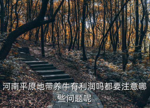 河南平原地帶養(yǎng)牛有利潤嗎都要注意哪些問題呢