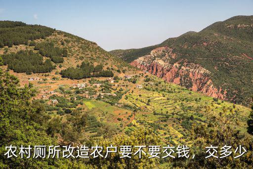 河南周口農(nóng)村廁所改造怎么還要交錢,農(nóng)村廁所改造農(nóng)戶要不要交錢