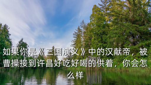 如果你是《三國演義》中的漢獻帝，被曹操接到許昌好吃好喝的供著，你會怎么樣