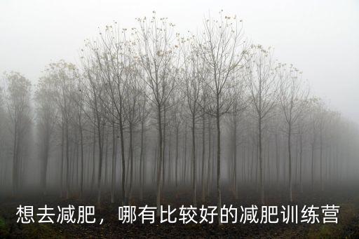 想去減肥，哪有比較好的減肥訓練營