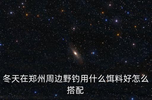 冬天在鄭州周邊野釣用什么餌料好怎么搭配
