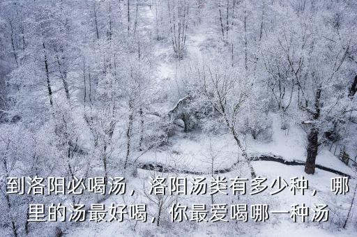 到洛陽必喝湯，洛陽湯類有多少種，哪里的湯最好喝，你最愛喝哪一種湯