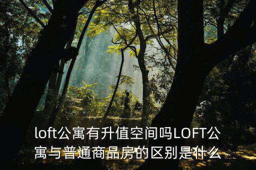 loft公寓有升值空間嗎LOFT公寓與普通商品房的區別是什么
