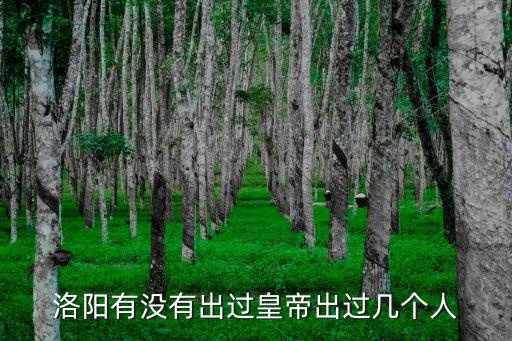 洛陽有沒有出過皇帝出過幾個人