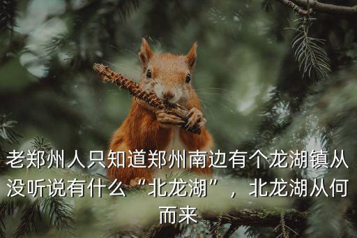 老鄭州人只知道鄭州南邊有個(gè)龍湖鎮(zhèn)從沒(méi)聽(tīng)說(shuō)有什么“北龍湖”，北龍湖從何而來(lái)