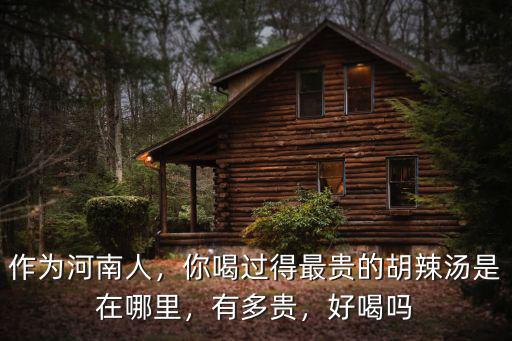 作為河南人，你喝過得最貴的胡辣湯是在哪里，有多貴，好喝嗎