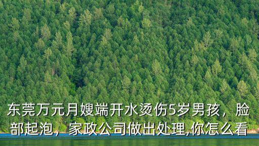 東莞萬元月嫂端開水燙傷5歲男孩，臉部起泡，家政公司做出處理,你怎么看