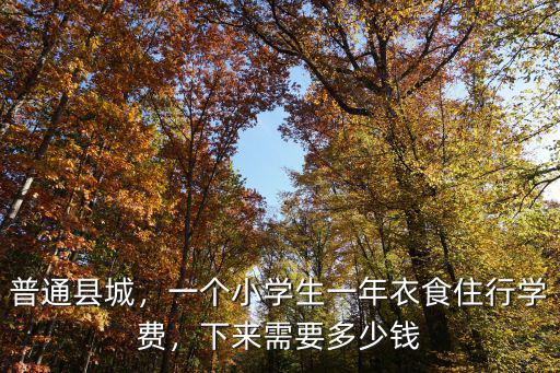 普通縣城，一個(gè)小學(xué)生一年衣食住行學(xué)費(fèi)，下來需要多少錢