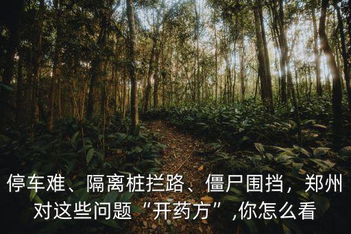 停車難、隔離樁攔路、僵尸圍擋，鄭州對這些問題“開藥方”,你怎么看