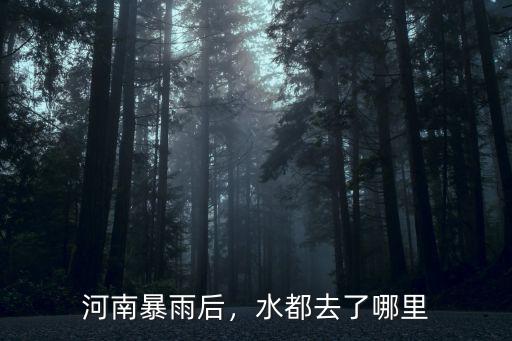 鄭州的水都流到了哪里,水都去了哪里