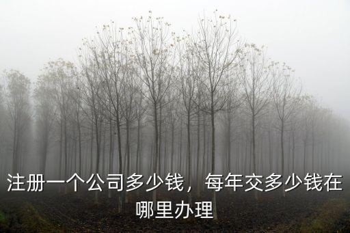 注冊一個公司多少錢，每年交多少錢在哪里辦理