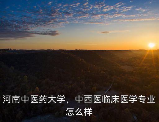 河南中醫藥大學王國斌醫術怎么樣,河南中醫藥大學