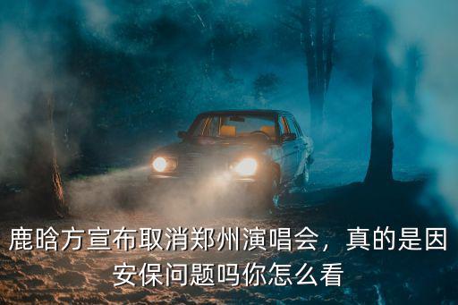 鹿晗鄭州演唱會怎么樣,鹿晗方宣布取消鄭州演唱會