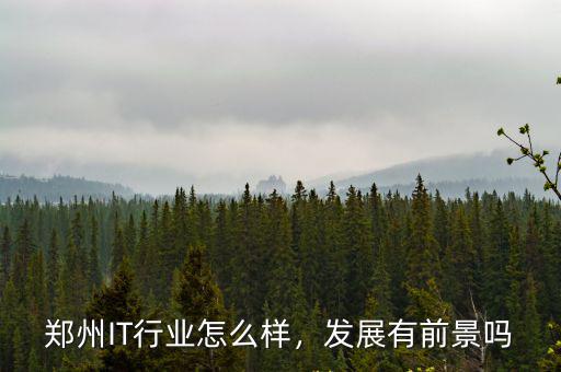 鄭州IT行業(yè)怎么樣，發(fā)展有前景嗎