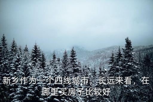 新鄉作為一個四線城市，長遠來看，在哪里買房子比較好