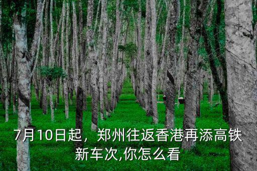 7月10日起，鄭州往返香港再添高鐵新車次,你怎么看