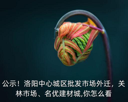 公示！洛陽中心城區(qū)批發(fā)市場外遷，關(guān)林市場、名優(yōu)建材城,你怎么看
