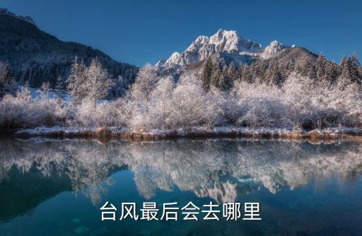 臺(tái)風(fēng)利奇馬登陸河南哪里,2號(hào)臺(tái)風(fēng)登陸倒計(jì)時(shí)