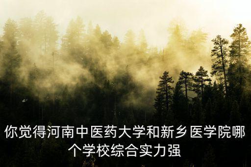 你覺得河南中醫(yī)藥大學和新鄉(xiāng)醫(yī)學院哪個學校綜合實力強