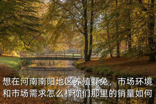 想在河南南陽地區養殖野兔，市場環境和市場需求怎么樣你們那里的銷量如何