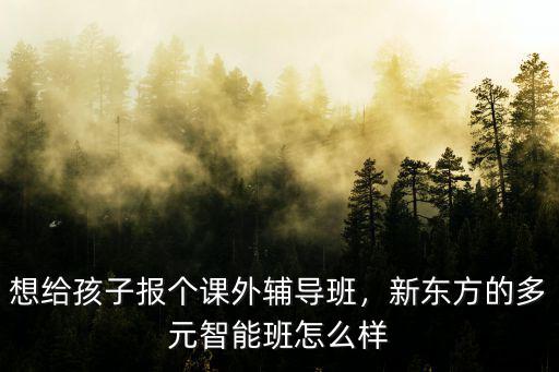 鄭州新東方多元智能班怎么樣,新東方的多元智能班怎么樣