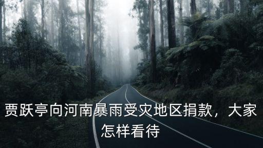 賈躍亭向河南暴雨受災地區捐款，大家怎樣看待