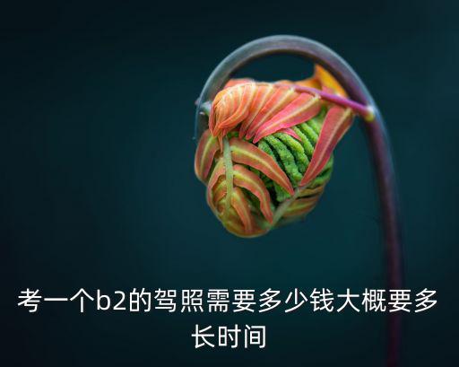 考一個(gè)b2的駕照需要多少錢大概要多長時(shí)間