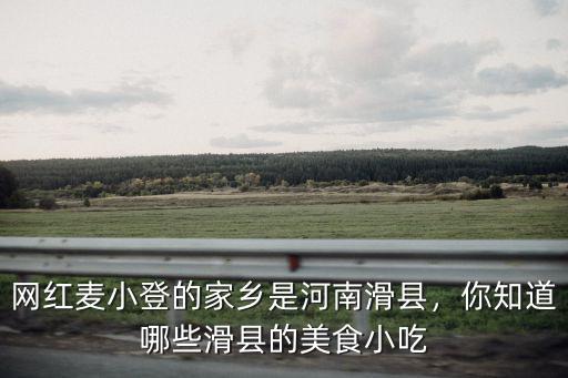 怎么介紹河南滑縣,河南滑縣在哪