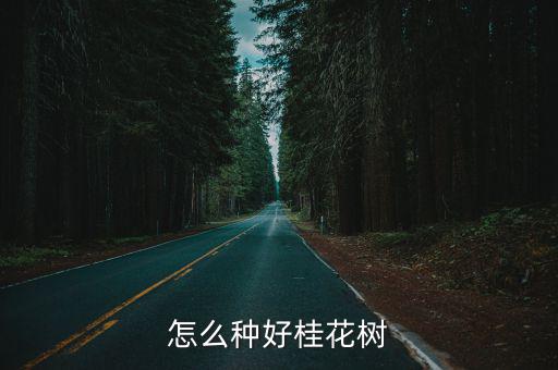 怎么種好桂花樹