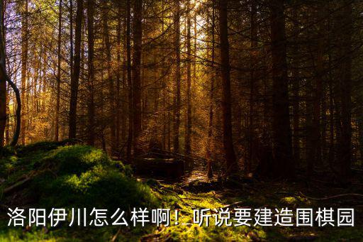 洛陽伊川怎么樣啊！聽說要建造圍棋園