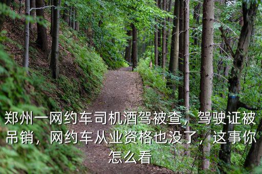 鄭州一網約車司機酒駕被查，駕駛證被吊銷，網約車從業資格也沒了，這事你怎么看